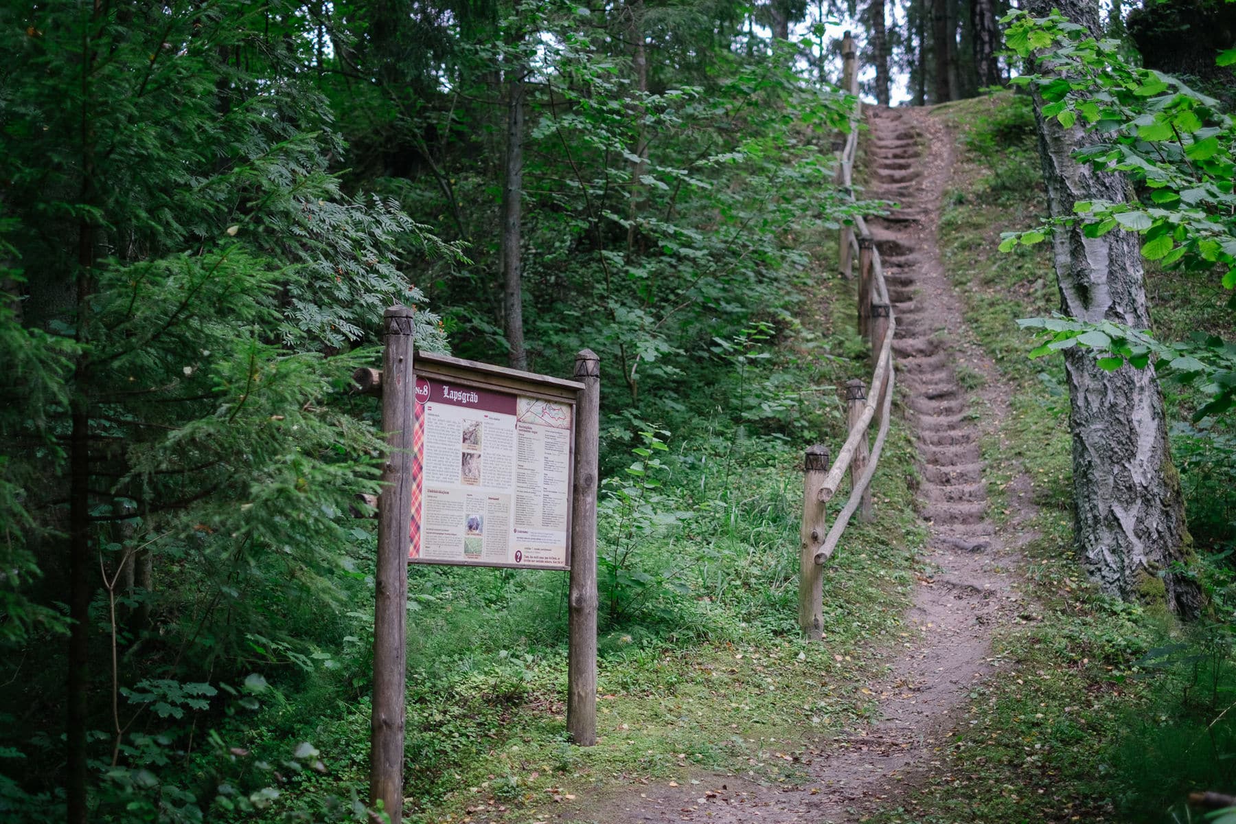 ko darīt brīvdienās